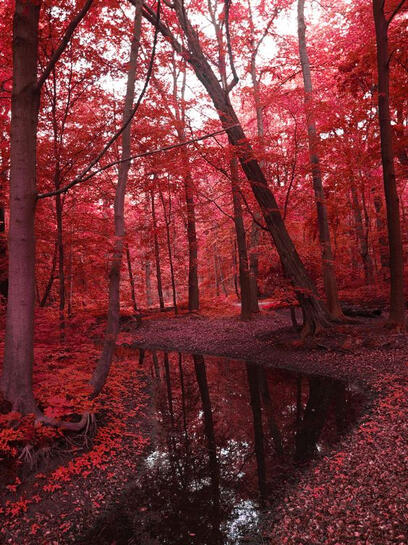 when the death is stranding idk i never played it